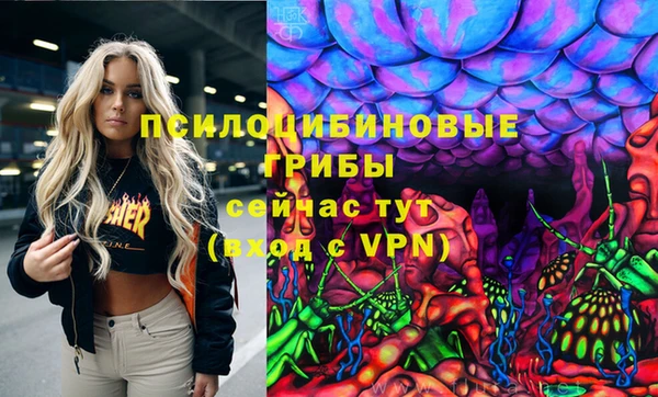 крисы Ельня